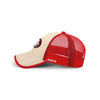 San Francisco 49ers NFL Straw Casual Trucker Cap