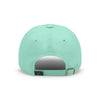 Detroit Lions NFL Spearmint Casual Cap (PREORDER - SHIPS LATE JULY)