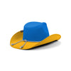 Los Angeles Chargers NFL Two Tone Cowboy Hat (PREORDER - SHIPS LATE OCTOBER)