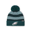 Philadelphia Eagles NFL Womens Cozy Knit Metallic Thread Pom Beanie