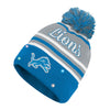 Detroit Lions NFL Womens Wordmark Script Light Up Beanie