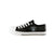 Las Vegas Raiders NFL Womens Team Color Metallic Low Top Canvas Shoes