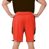Cleveland Browns NFL Mens Side Stripe Training Shorts