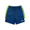Seattle Seahawks NFL Mens Side Stripe Training Shorts
