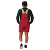 San Francisco 49ers NFL Mens Team Stripe Bib Shortalls