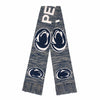 Penn State Nittany Lions NCAA Wordmark Big Logo Colorblend Scarf