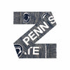 Penn State Nittany Lions NCAA Wordmark Big Logo Colorblend Scarf