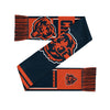 Chicago Bears NFL Reversible Thematic Scarf