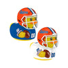 Florida Gators NCAA 2 Pack Vinyl Ducks
