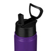 Minnesota Vikings NFL Team Color Insulated Bottle (PREORDER - SHIPS LATE OCTOBER)