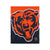 Chicago Bears NFL Supreme Slumber Plush Throw Blanket