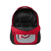 Ohio State Buckeyes NCAA Colorblock Action Backpack