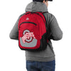 Ohio State Buckeyes NCAA Colorblock Action Backpack