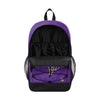 Minnesota Vikings NFL Big Logo Bungee Backpack