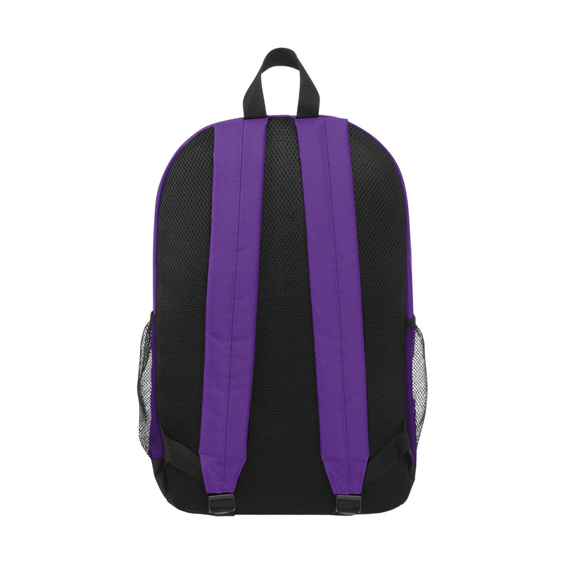 Minnesota Vikings Basic Backpack 