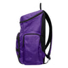 Minnesota Vikings NFL Carrier Backpack