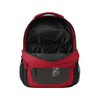 Tampa Bay Buccaneers NFL Colorblock Action Backpack