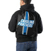 Carolina Panthers NFL Team Stripe Wordmark Drawstring Backpack