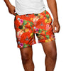 Cleveland Browns NFL Mens Fruit Life 5.5" Swimming Trunks