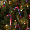 Buffalo Bills NFL 12 Pack Candy Cane Ornament Set