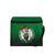 Boston Celtics NBA Gradient 6 Pack Cooler Bag