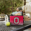 Ohio State Buckeyes NCAA Gradient 6 Pack Cooler Bag