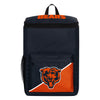 NFL Lunch Bags & Coolers - Select Your Team & Style!