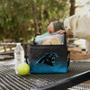 Carolina Panthers NFL Gradient 6 Pack Cooler Bag