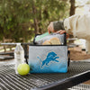 Detroit Lions NFL Gradient 6 Pack Cooler Bag