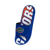 Florida Gators NCAA Mens Gradient Wordmark Gel Slide