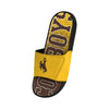 Wyoming Cowboys NCAA Mens Gradient Wordmark Gel Slide