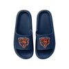 Chicago Bears NFL Womens Team Color Pillow Slides