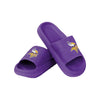 Minnesota Vikings NFL Womens Team Color Pillow Slides