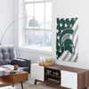 Michigan State Spartans NCAA Americana Vertical Flag