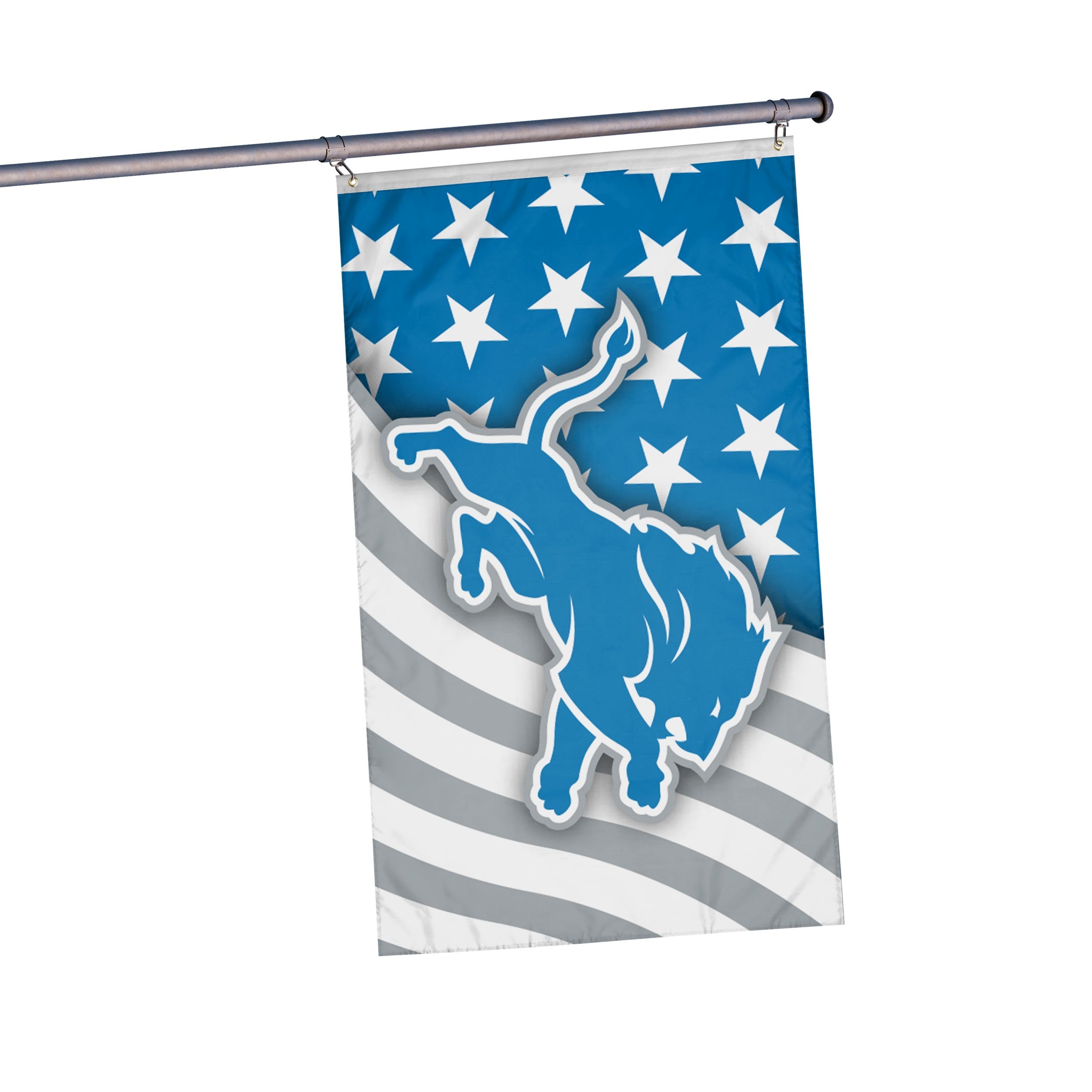 3 ft x 5 ft NFL Team Flag - Detroit Lions