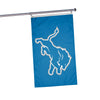 Detroit Lions NFL Solid Horizontal Flag