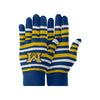 Michigan Wolverines NCAA Stripe Finger Stretch Glove