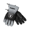 NFL Big Logo Insulated Gloves - Pick Your Team!