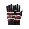 Chicago Blackhawks NHL Hockey Team Logo Stretch Gloves