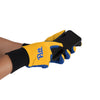 Pittsburgh Panthers NCAA Colored Texting Utility Gloves