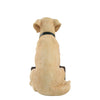 Green Bay Packers NFL Yellow Labrador Statue