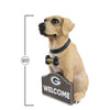 Green Bay Packers NFL Yellow Labrador Statue