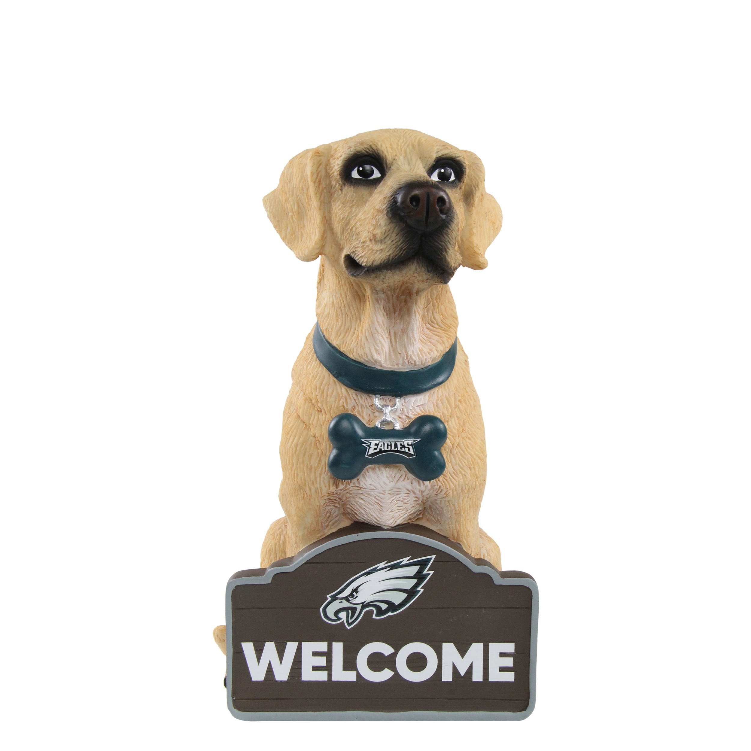 Philadelphia Eagles NFL Dog Leash  Nfl dog, Eagles nfl, Nfl philadelphia  eagles