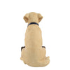 Seattle Seahawks NFL Yellow Labrador Statue