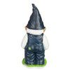 Seattle Seahawks NFL Team Gnome