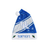 Kentucky Wildcats NCAA High End Santa Hat