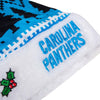 Carolina Panthers NFL Family Holiday Santa Hat