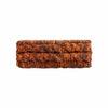 Chicago Bears NFL Womens Colorblend Headband