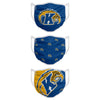 Kent State Golden Flashes NCAA 3 Pack Face Cover