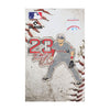 Boston Red Sox MLB Michael Chavis Pro Pinz